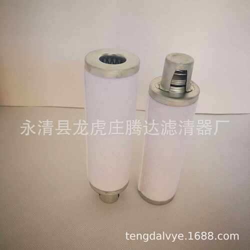 18973莱宝D65B真空泵滤芯