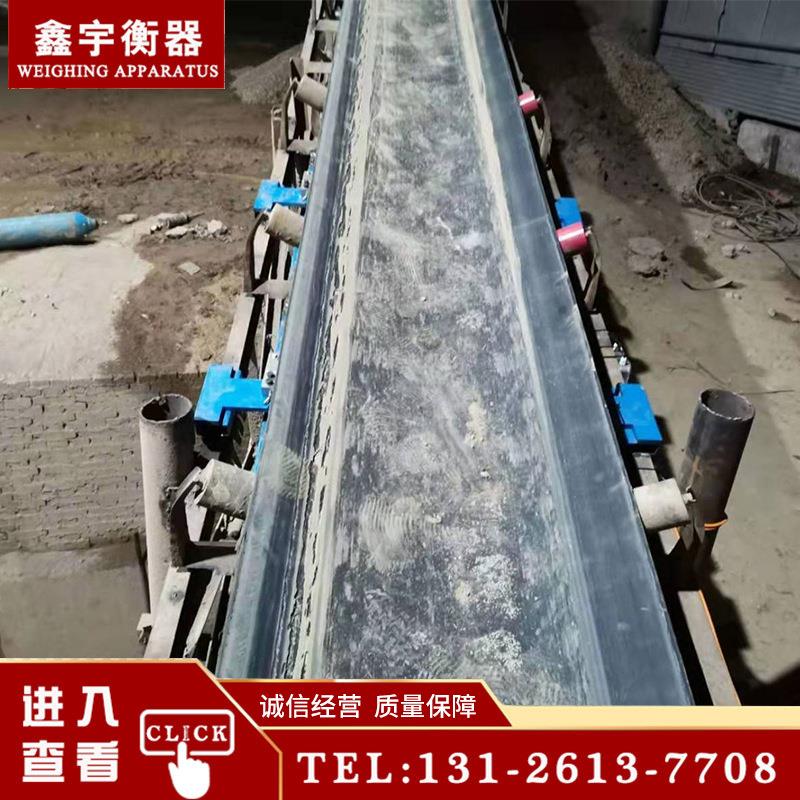 电子皮带秤动态称重电子皮带秤电子计量皮带秤厂家皮带秤