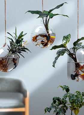 水培植物鱼缸一体创意小绿萝壁挂绿植式玻璃瓶墙吊挂吊瓶悬挂花瓶