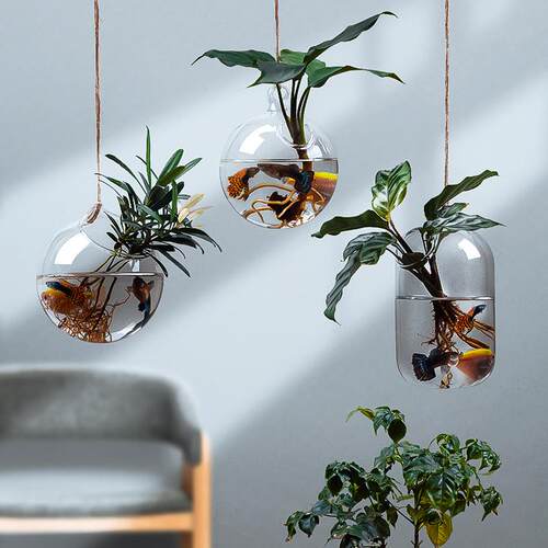 水培植物鱼缸一体创意小绿萝壁挂绿植式玻璃瓶墙吊挂吊瓶悬挂花瓶