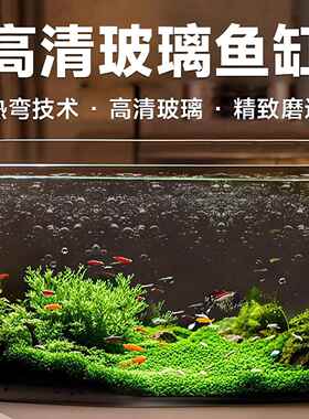 精致小鱼缸高清玻璃懒人桌面生态造景金客厅小型热弯水族箱