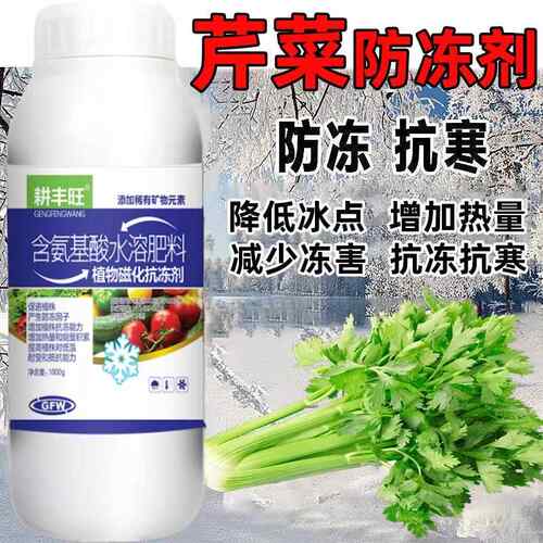 芹菜防冻剂芹菜防寒抗冻剂芹菜专用叶面肥解冻害抗低温芹菜防冻液