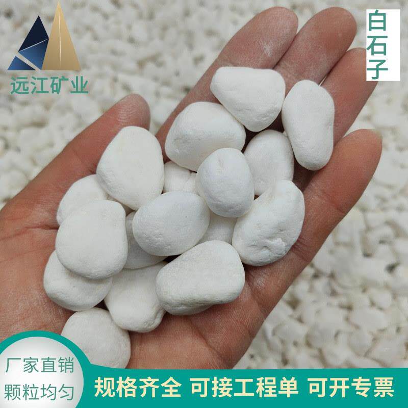 白米石鹅卵石园林工程庭院花园装饰小白石卵石白砾园林景观石料