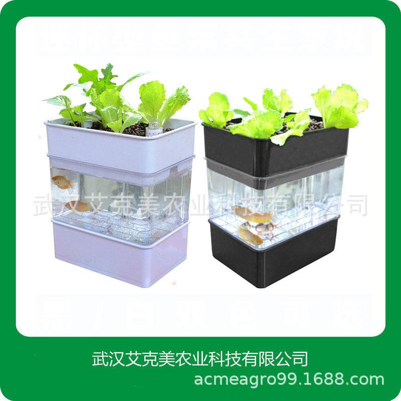 农业家庭养鱼种菜柜鱼缸水培种植箱鱼菜共生蔬菜种植机无土栽培箱
