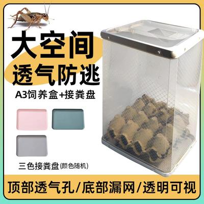 面包虫饲养盒爬宠透明组装透气漏粪便杜比亚蛐蛐防逃