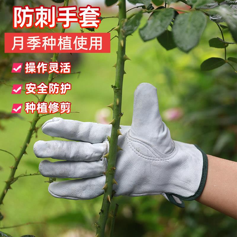 防刺防水手套刺扎园艺种花月季打刺花园修剪玫瑰花防扎园林种植