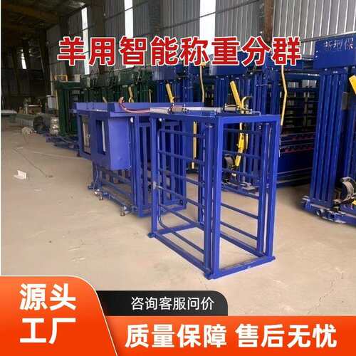 羊用智能称重三分群设备自动称重耳标识别数据自动上传