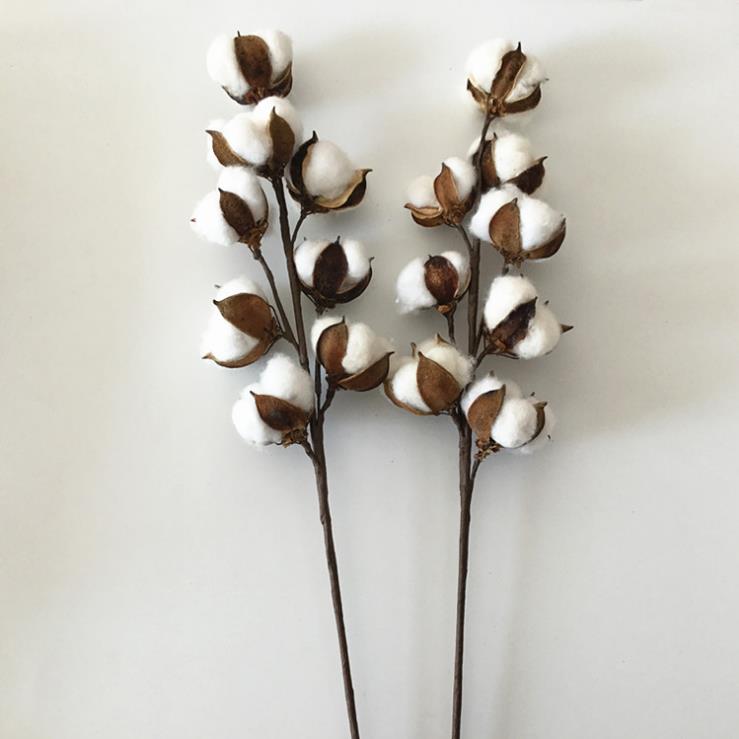 棉花树枝乡村天然木直销花束干花包真花客厅装饰插花拍摄道具真品