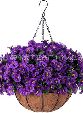 铁架椰棕吊篮红色紫色牵牛花户外壁挂装饰春季园艺挂篮