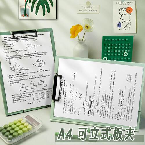 Standing A4 File Folder for Students - High Aesthetic, Thick