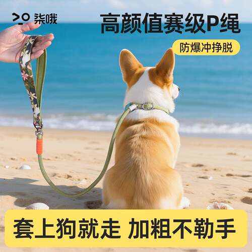 P绳狗狗牵引绳中小型犬外出遛狗链子大狗防爆冲打结宠物牵引绳