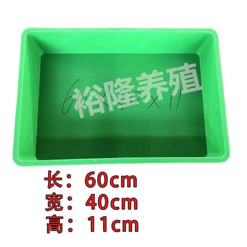 周转工具养殖虫养殖大麦养塑料盒塑料托盘黄粉虫虫盒蛋白专用虫