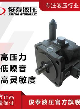（厂家现货） 台款HVP30 油压电机用中压变量叶片泵 中压泵