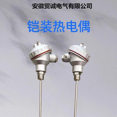 贸诚仪表WRN2-631NM WRN-630NM耐磨热电偶 L=650x480MM