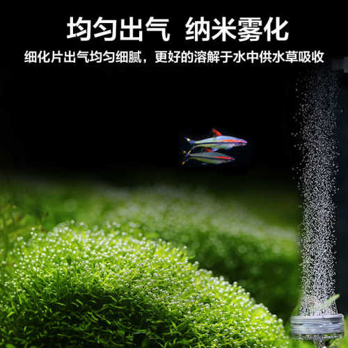 水草二氧化碳发生器 不锈钢 CO2发生器细化器雾化器草缸专用包邮