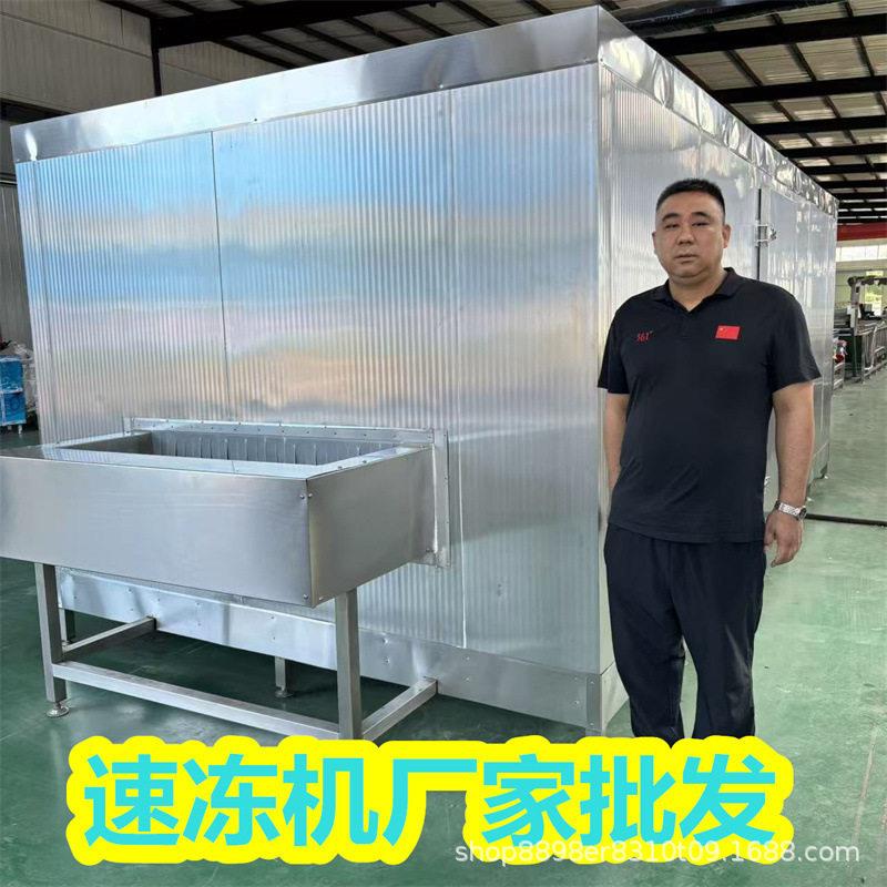 流态化食品冷冻隧道 蚕豆仁分选加工流水线 刺梨果粒速冻设备