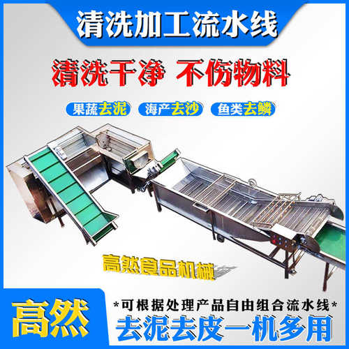 全自动喷淋式瓜果气泡清洗机 辣椒清洗加工设备 不锈钢果蔬清洗机