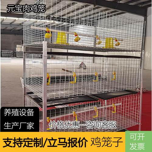 多层肉鸡笼家用多层养殖鸡笼多种规格鸡笼自动化养殖高效率养殖厂