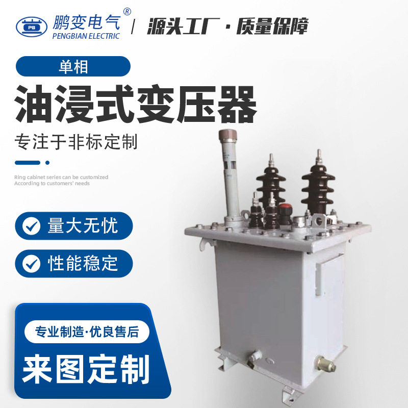 5电 高压变压器s气h1-00kva油浸npx式变2压器非晶合金铁心
