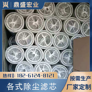 抛丸机滤芯配件除尘滤芯工业滤芯吹尘器阻燃覆 覆膜防静电耐高温