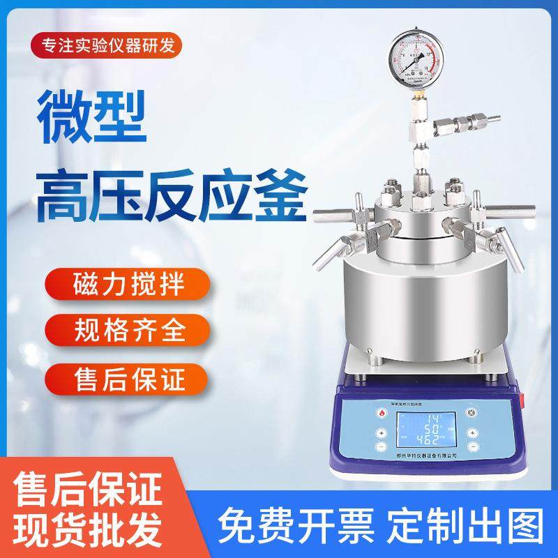 100ML小型高温高压反应釜不锈钢反应釜微型磁力搅拌高压反应釜