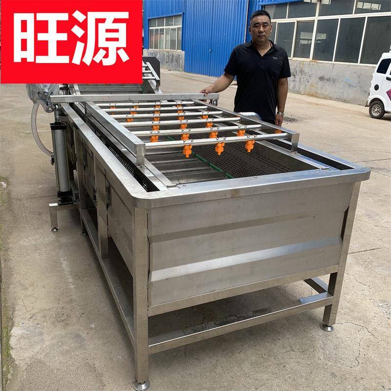 黄桃清洗机 大型商用青梅清洗机 漂烫机 黄桃速冻流水线