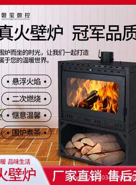 真火壁炉燃木取暖器加厚钢板烧柴火木材农村民宿家用装饰取暖炉子