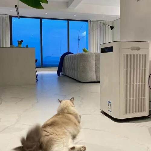 IAM空气净化器M8除甲醛雾霾细菌 家用负离子 甲醛数值显示