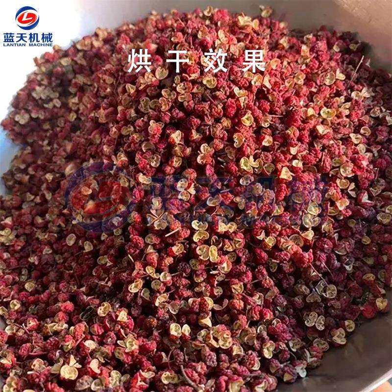 鲜花椒烘干机 小型带枝花椒烘烤机 全自动青红花椒烘干设备一体机