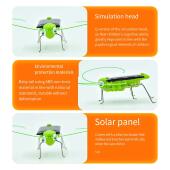 Puzzle Toy Children Selected Simulati Solar Gift Grasshopper