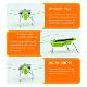 Puzzle Toy Children Selected Simulati Solar Gift Grasshopper