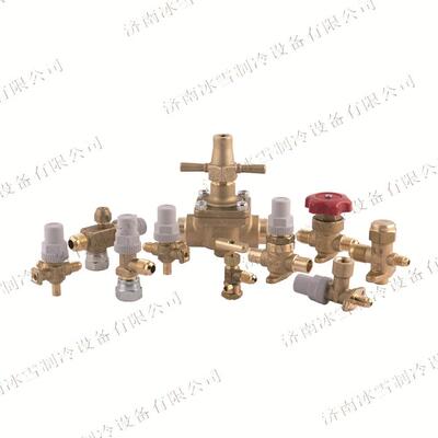 Castel卡士妥三通电动球阀6698EM/M42A6(3),带不锈钢接头