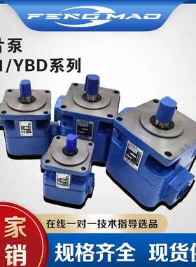 叶片泵YB1/YBD-10/6/4/6.3/12/16/25/32/40/50/63/80/100液压油泵