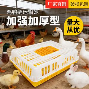 鸡笼运输笼塑料家禽鸡笼新型鸡鸭鹅鸽子笼子户外家用大号农村鸡笼