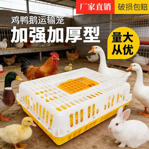 鸡笼运输笼塑料家禽鸡笼新型鸡鸭鹅鸽子笼子户外家用大号农村鸡笼