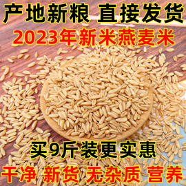 新米燕麦米2023年纯生裸燕麦仁粒，莜麦全胚芽米10粗粮商用内蒙古斤