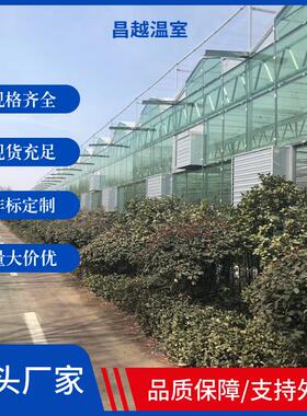 创新型采光好连栋薄膜温室保温隔热设计农业连栋大棚配套设施