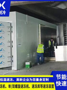 厂家承接双螺旋速冻机水饺馄饨面食生鲜肉类急冻