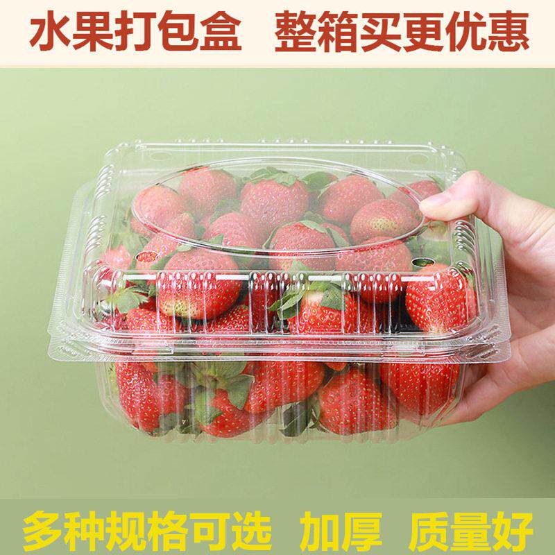 果切打包盒一次性水果包装盒加厚透明带盖塑料摆摊专用盒子草莓果