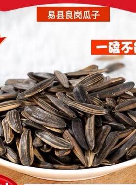 新疆包邮保定易县瓜子良岗瓜子10斤特价原味散装竹签瓜子牙签大瓜