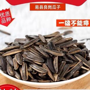 新疆包邮保定易县瓜子良岗瓜子10斤特价原味散装竹签瓜子牙签大瓜