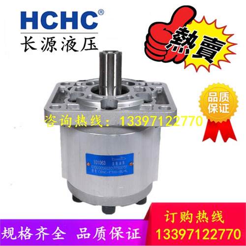 合肥赛源 长源齿轮油泵CBNC-F532/550/563-BLHL/BFPL/BFHL/BFHL
