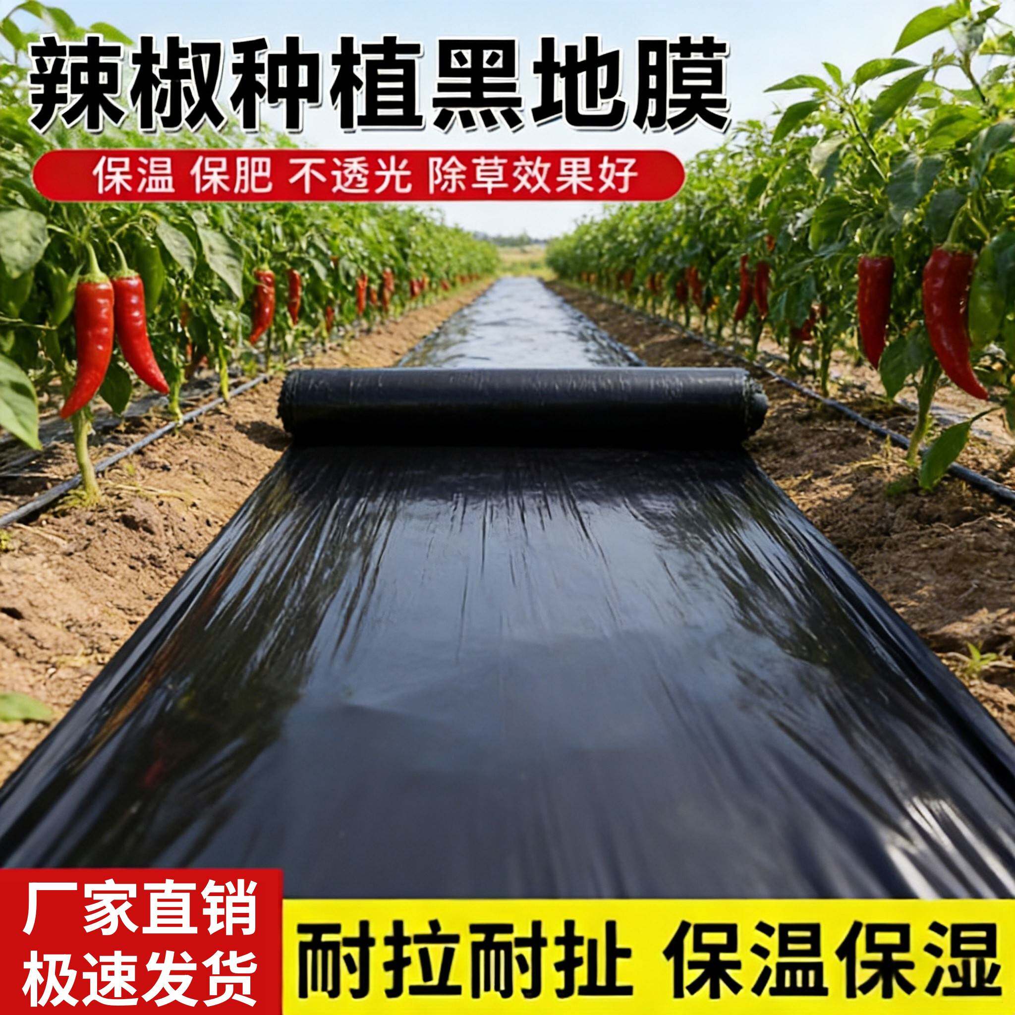 辣椒专用黑色地膜一次性黑膜盖菜防草布加厚塑料薄膜农用种植辣椒