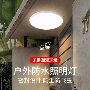 TRIAC户外吸顶灯防水屋檐灯阳台露台农村自建房庭院入户大门门口