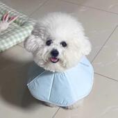 宠物狗狗伊丽莎白圈猫防舔项圈绝育耻辱圈头套防水软圈小型犬防抓