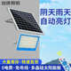 庭院亮投新农村家用光路灯太阳能照明灯新款 户外室内大功率灯灯超