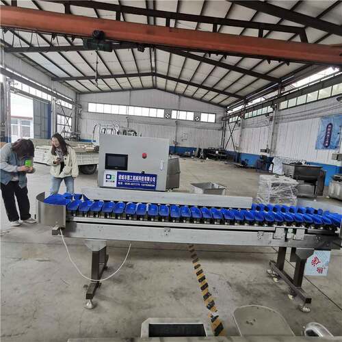 食品水果重量分选机鲍鱼海参重量分选机自动化智能分拣机