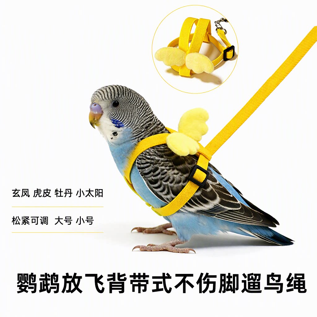 鹦鹉放飞外带绳背带式不伤脚遛鸟神器牡丹玄凤虎皮八哥松紧可调