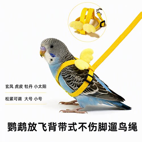 鹦鹉放飞背带式不伤脚遛鸟绳