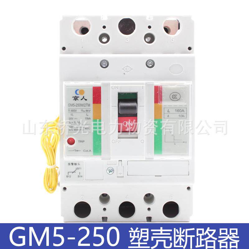 北京人民GM5-250M/2TM 3TM 160A200A250A直流断路器GM225M-2300R